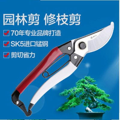 进口锰钢修枝剪修花木园林工具园艺剪刀果树枝剪子粗枝剪花剪在类目 鲜花速递/花卉仿真/绿植园艺, 园艺用品, 园艺/刀/剪/锯(新), 剪刀中 - 来自Buy2taobao.com提供专业的淘宝代购服务