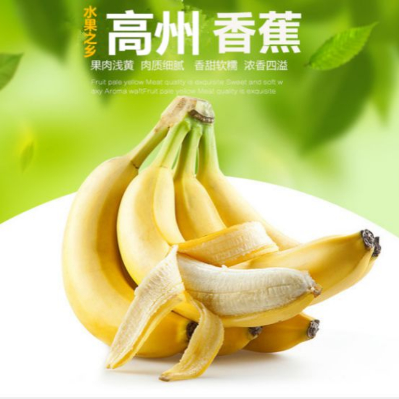 香蕉banana新鮮水果高州特産無催熟劑非米蕉粉蕉海南芭蕉3斤包郵在類目 水產肉類/新鮮蔬果/熟食, 新鮮水果, 香蕉中 - 來自Buy2taobao.com提供專業的淘寶代購服務