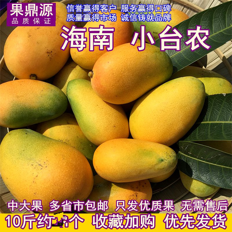 10斤海南小台农芒果新鲜水果现货广西鸡蛋果热带树上熟甜芒果当季在类目 水产肉类/新鲜蔬果/熟食, 新鲜水果, 芒果中 - 来自Buy2taobao.com提供专业的淘宝代购服务