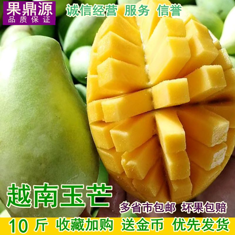 10斤越南玉芒 新鲜水果 当季热带现摘现货进口青皮芒果广西甜心芒在类目 水产肉类/新鲜蔬果/熟食, 新鲜水果, 芒果中 - 来自Buy2taobao.com提供专业的淘宝代购服务