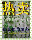 批发苏州/上海/人造塑料/居家装饰摆设花/仿真葡萄藤条带小葡萄串