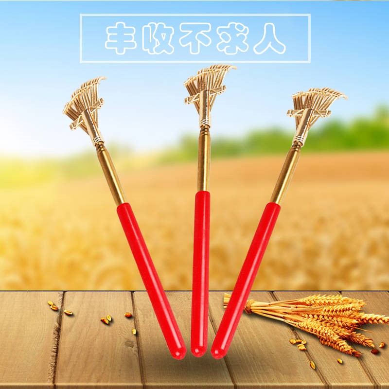 A variety of Optional Portable Scalable Scratching Ask for help Stainless steel Itch Artifact the elderlyin the Toy/Childs/Puzzle/Building block/Model , Pleasure/Teaching Equipment/Large facilities , Other recreational facilities category - from Buy2taobao.com to provide professional Taobao agent buy service