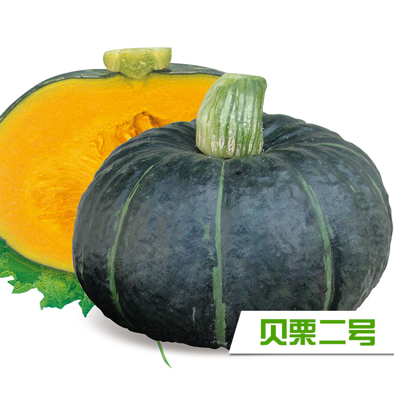 江淮园艺【贝栗二号、贝栗三号】迷你型南瓜种子板栗味南瓜在类目 农用物资, 种子/种苗, 蔬菜种子中 - 来自Buy2taobao.com提供专业的淘宝代购服务