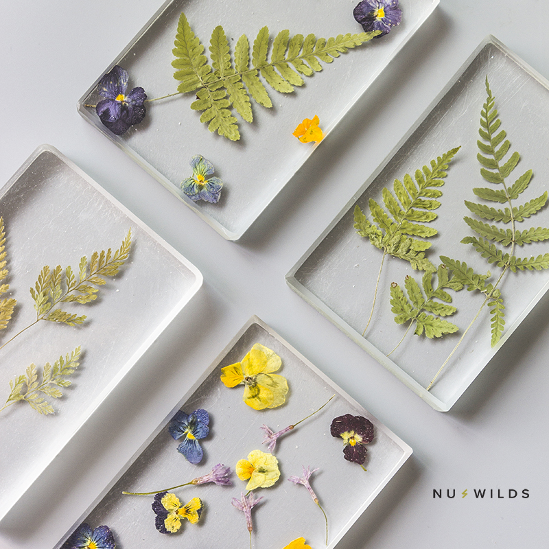 ˇ Frozen seasons Frozen Seasons ˇ Δ Botany concept Shopin the Home accessories , Decorative painting , Decorative painting class specimens category - from Buy2taobao.com to provide professional Taobao agent buy service