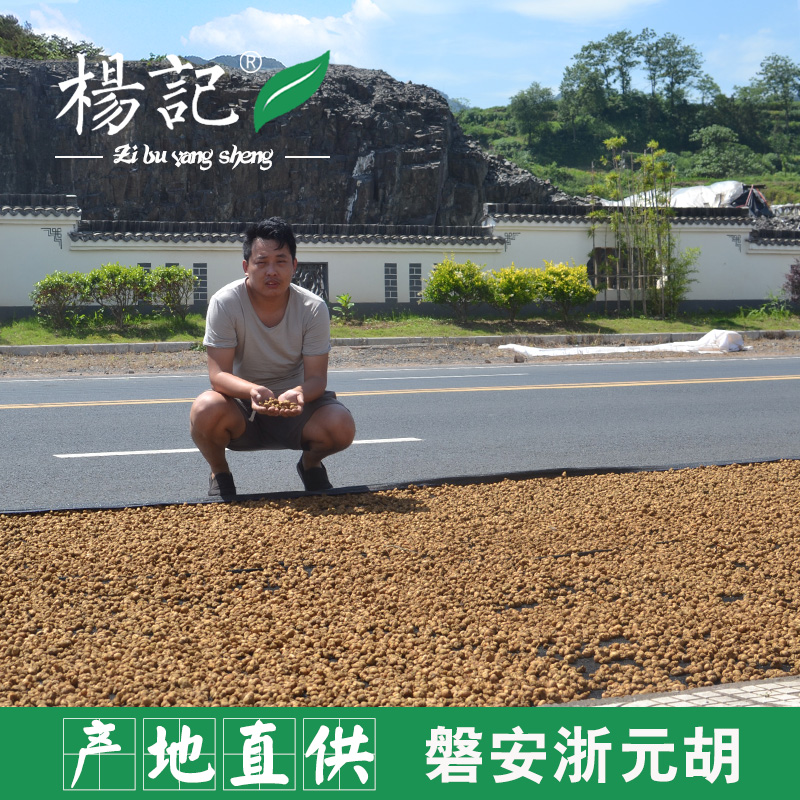 生元胡个 无硫浙元胡500g 正宗磐安浙元胡 中药材延胡索 玄胡|ruв категории традиционные питательный пища, гомологический продовольствия, медикаментов и продовольствия, съедобные продукты других наркотиков - от Buy2taobao.com для оказания профессиональной услуги покупки агента Taobao