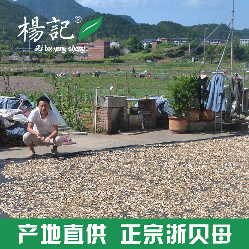 新货 无硫浙贝母250g 磐安浙贝母 贝母片 象贝 可打贝母粉|ruв категории традиционные питательный пища, гомологический продовольствия, медикаментов и продовольствия, съедобные продукты других наркотиков - от Buy2taobao.com для оказания профессиональной услуги покупки агента Taobao