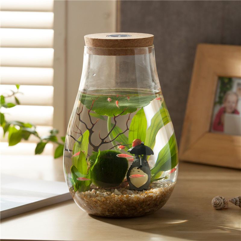 創意微生態瓶魚蝦螺 辦公室桌面迷妳水族箱小魚缸微景觀微景缸在類目 寵物/寵物食品及用品, 水族世界, 魚缸等水族設備, 生態瓶/創意缸/桌面微景缸中 - 來自Buy2taobao.com提供專業的淘寶代購服務
