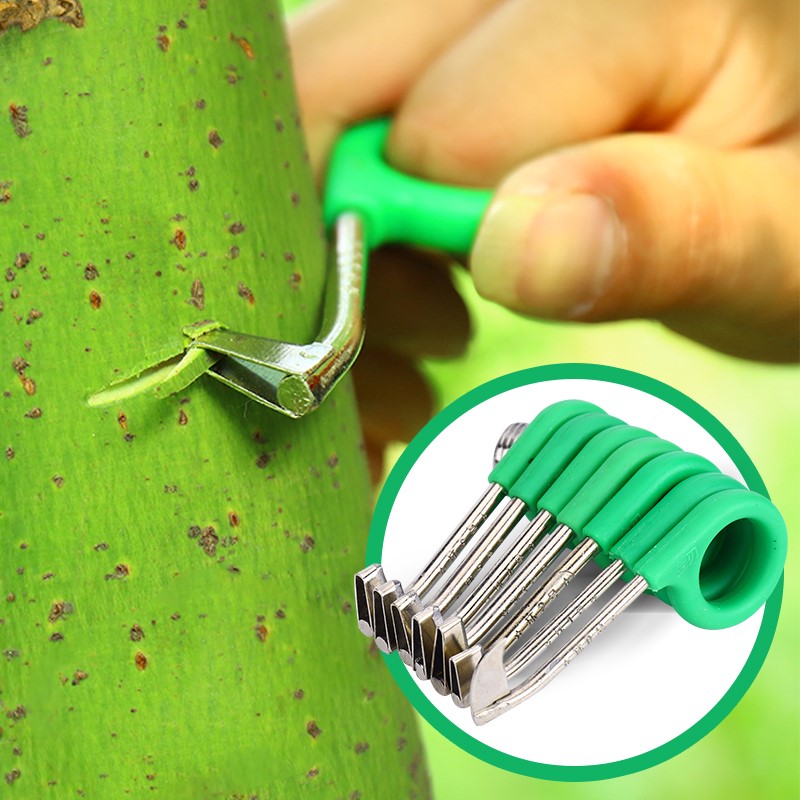 Girdling knife Fruit tree seedlings Citrus Jujube Shatangju gardening Skinning knife grape Peach Adjustable Litchi Girdlingin the Flower delivery/Flowers simulation/Plants gardening , Gardening supplies , Gardening/Knife/Scissors/Saw (New) , Scissors category - from Buy2taobao.com to provide professional Taobao agent buy service