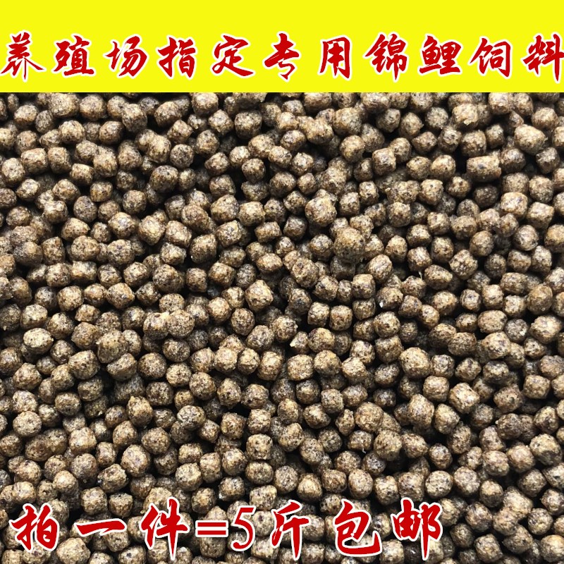鲤鱼饲料 锦鲤鱼食 鱼粮 金鱼饲料 鲫鱼饲料 大粒5斤24元包邮在类目 宠物/宠物食品及用品, 水族世界, 观赏鱼饲料中 - 来自Buy2taobao.com提供专业的淘宝代购服务