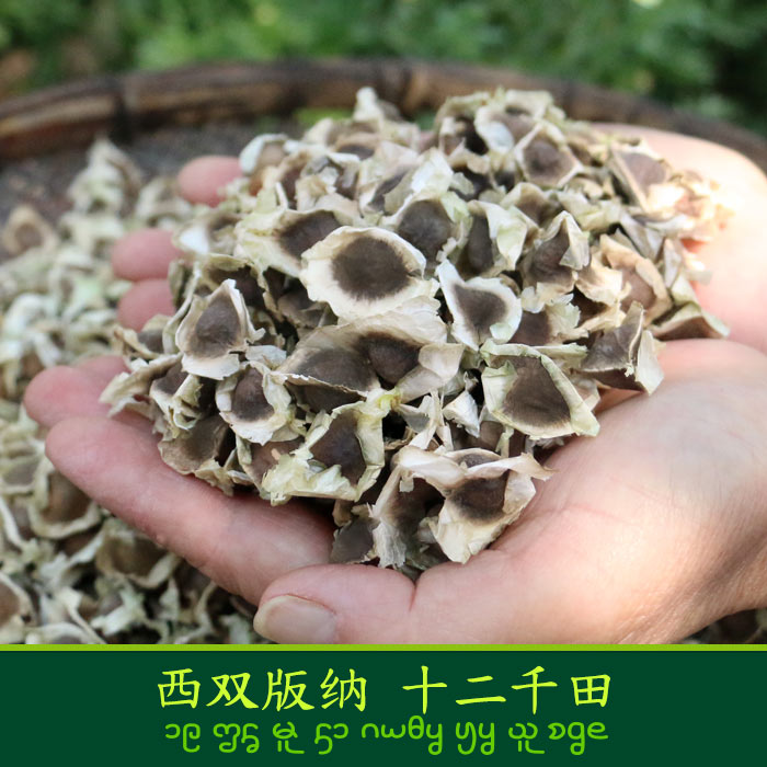 辣木籽十二千田雲南西雙版納老樹辣木子種子食用種植農家精選包郵在類目 傳統滋補營養品, 其他傳統滋補品, 傳統滋補品其他中 - 來自Buy2taobao.com提供專業的淘寶代購服務