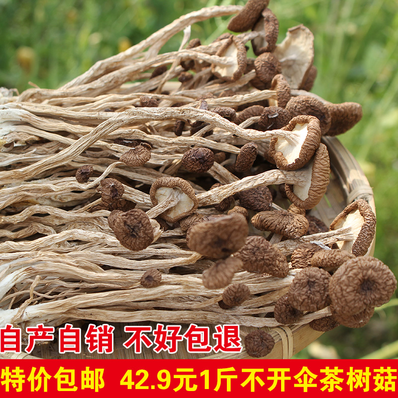 农家自种茶树菇干货不开伞新鲜自产500g茶菇香菇干茶树菇江西特产在类目 粮油米面/南北干货/调味品, 南北干货/肉类干货, 干货/土特产, 香菇类中 - 来自Buy2taobao.com提供专业的淘宝代购服务