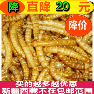 面包虫干500g黄粉虫干仓鼠粮龙鱼饲料龟粮鹩哥鸟食1斤在类目 宠物/宠物食品及用品, 仓鼠类及其它小宠, 饲料/零食中 - 来自Buy2taobao.com提供专业的淘宝代购服务