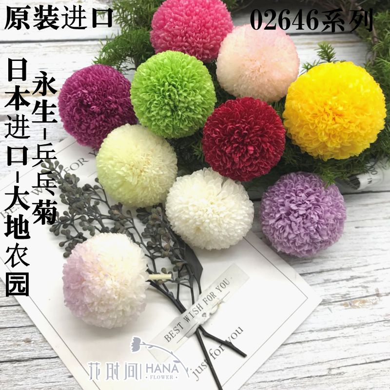 Japan Imported Earth Plantation Eternal life Ping Pong DIY flower arrangement Flower material FlowerBox hairin the Flower delivery/Flowers simulation/Plants gardening , Spend eternity/Dried flowers , Spend eternity category - from Buy2taobao.com to provide professional Taobao agent buy service