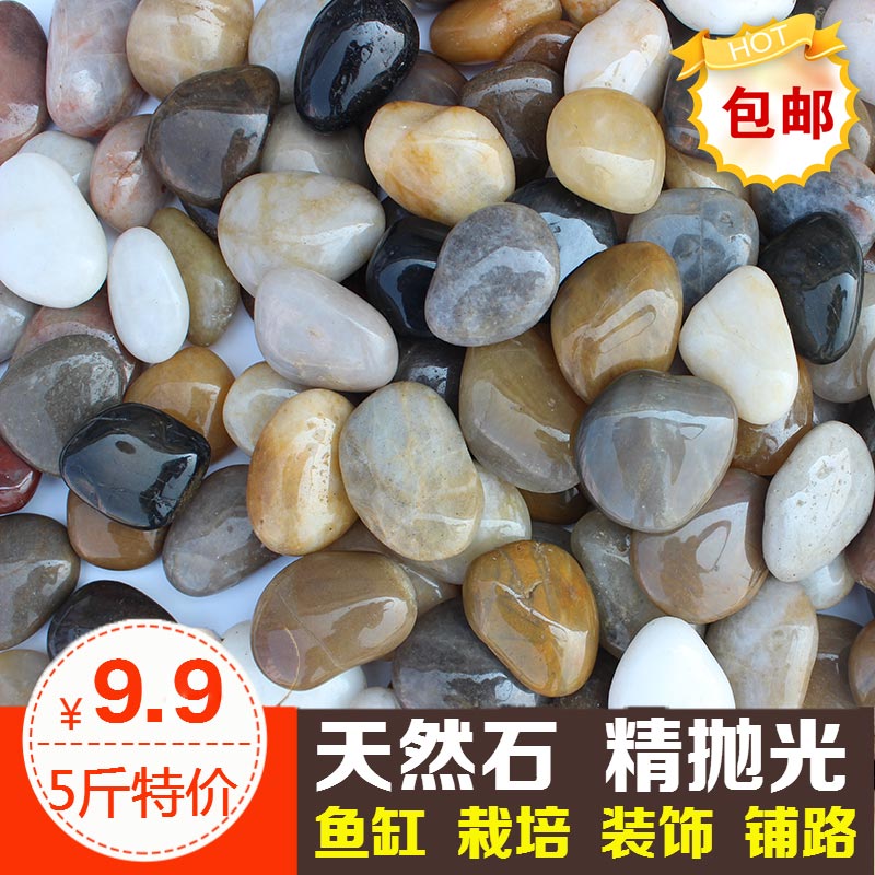 鹅卵石新款五彩雨花石天然小石子花盆装饰盆栽园艺彩石头 5斤装在类目 鲜花速递/花卉仿真/绿植园艺, 园艺用品, 其它园艺用品中 - 来自Buy2taobao.com提供专业的淘宝代购服务