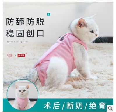 猫咪绝育衣服母猫手术服夏季断奶服薄款透气猫术后防舔防咬防掉毛在类目 宠物/宠物食品及用品, 宠物服饰及配件, 宠物服装/雨衣中 - 来自Buy2taobao.com提供专业的淘宝代购服务