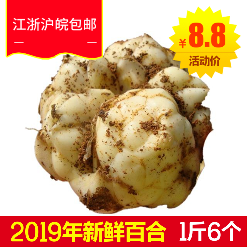 2019宜興鮮百合壹斤6個左右江浙滬5斤包郵宜興食用百合農家特産在類目 糧油米麪/南北乾貨/調味品, 南北乾貨/肉類乾貨, 乾貨/土特產, 百合幹中 - 來自Buy2taobao.com提供專業的淘寶代購服務