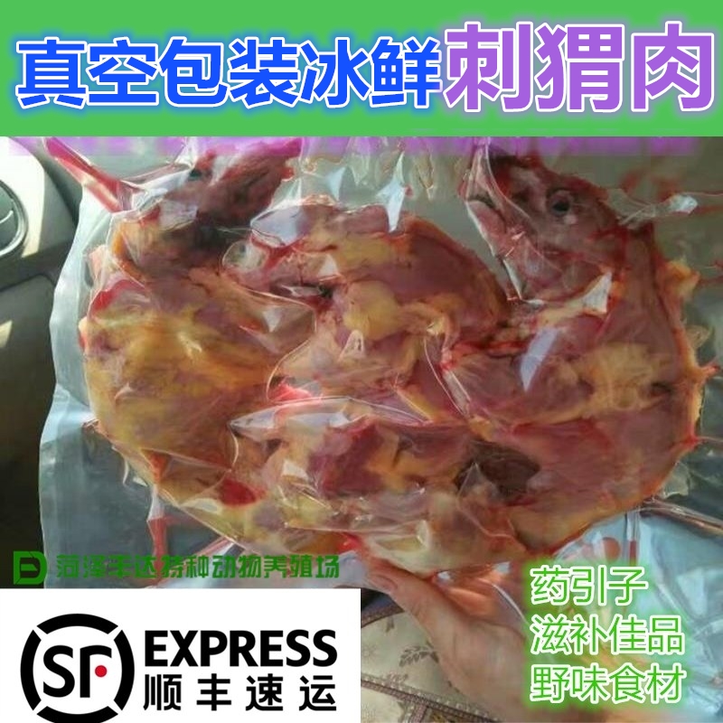 药用大刺猬活体药用刺猬皮骨心胆刺油医食肉用刺猬肉特色食材野味|ruв категории животное/Животное питание и принадлежностей, других домашних животных, других домашних животных - от Buy2taobao.com для оказания профессиональной услуги покупки агента Taobao