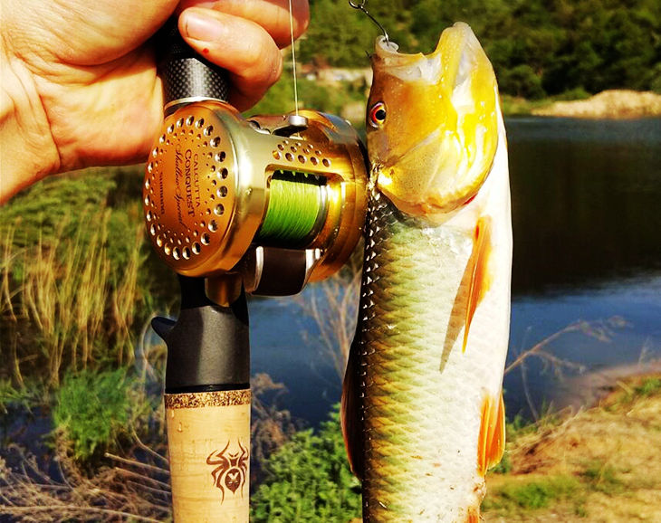 Fish one Custom spread International make up the difference Address linkin the Outdoor/Mountaineer/Camping/Travel Goods , Fishing equipment , Fishing rod category - from Buy2taobao.com to provide professional Taobao agent buy service