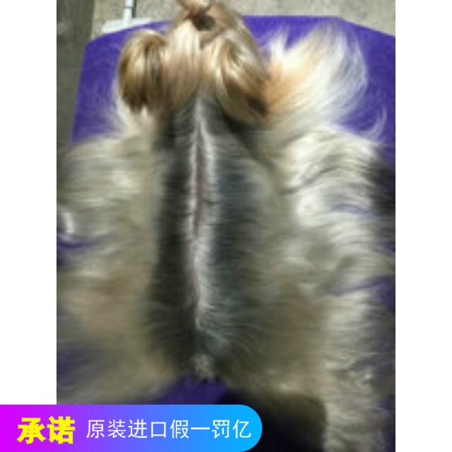 原装进口约克夏专用丝质棉质毛用沐浴露香波保湿杀菌果油补油两款|msdalam kategori haiwan peliharaan/makanan haiwan dan bekalan, Cat/Anjing dandanan pembersihan bekalan, mandi syampu - dari Buy2taobao.com untuk memberikan perkhidmatan ejen Taobao profesional membeli