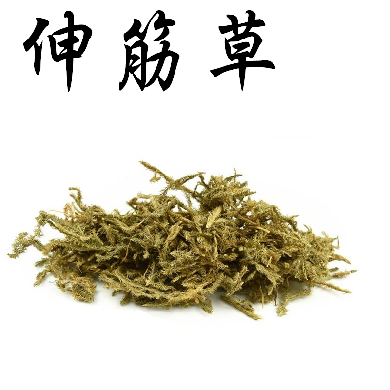 伸筋草 舒筋草 店有远志 益智仁 三宝茶 中药材批发 500克包邮