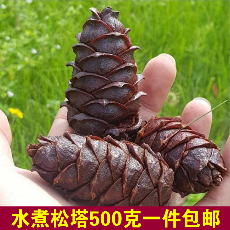 新货大兴安岭水煮松树塔野生马尾松塔盐水煮偃松塔咸味 500g包邮在类目 零食/坚果/特产, 山核桃/坚果/炒货, 松子中 - 来自Buy2taobao.com提供专业的淘宝代购服务