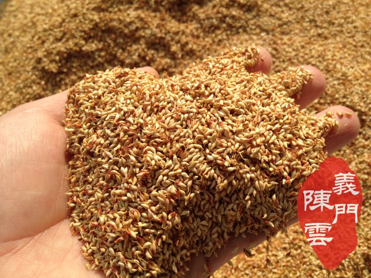 精品籽 500g江西庐山野生薜荔果 木莲豆腐手搓爱玉子 凉粉籽原料在类目 粮油米面/南北干货/调味品, 南北干货/肉类干货, 干货/土特产, 其它中 - 来自Buy2taobao.com提供专业的淘宝代购服务