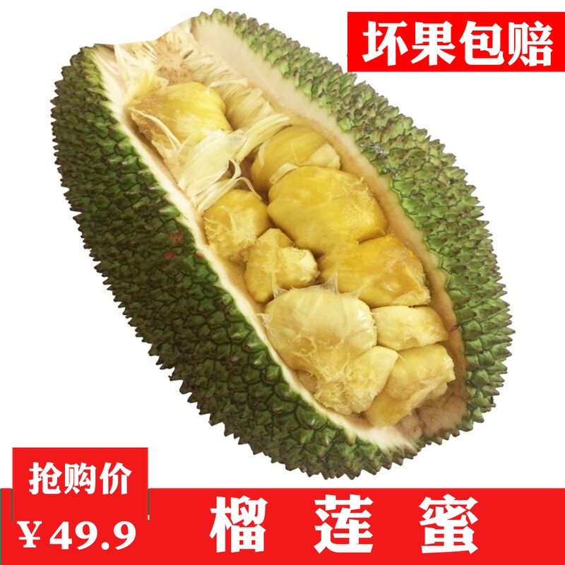 泰国进口新鲜水果榴莲蜜2-3斤迷你小菠萝蜜越南热带新鲜水果包邮|msdalam kategori daging perikanan/Buah-buahan segar dan sayur-sayuran/dimasak, buah-buahan segar, lain - dari Buy2taobao.com untuk memberikan perkhidmatan ejen Taobao profesional membeli
