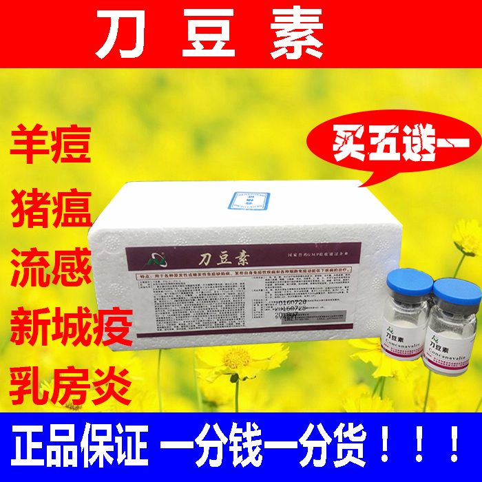 兽用刀豆素羊痘小反刍猪瘟圆环病毒感染细小反复高烧传支传喉肠炎在类目 畜牧/养殖物资, 饲料, 饲料添加剂中 - 来自Buy2taobao.com提供专业的淘宝代购服务