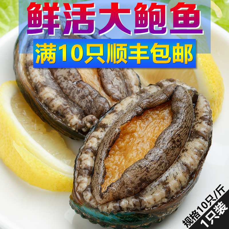 鲍鱼鲜活青岛崂山野生新鲜鲍鱼海鲜水产大鲍鱼 13.2/只 10只包邮在类目 水产肉类/新鲜蔬果/熟食, 海鲜/水产品/制品, 贝类, 鲍鱼中 - 来自Buy2taobao.com提供专业的淘宝代购服务