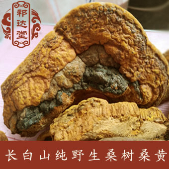 祁达堂长白山野生桑树桑黄250克包邮|msdalam kategori makanan berkhasiat tradisional, Ganoderma, Pemangkasan Ganoderma lucidum - dari Buy2taobao.com untuk memberikan perkhidmatan ejen Taobao profesional membeli