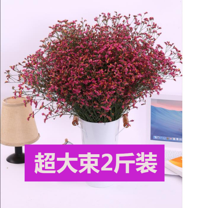 Dried flowers Yunnan Forget me not Qingren Cao Crystal Grass Home Furnishing decorate a living room bedroom flower arrangement 2 pounds decoratein the Home accessories , Vase/Flower/Artificial flowers/Imitation jewelry , Dried flowers/Petal/Dried package/Dry twigs category - from Buy2taobao.com to provide professional Taobao agent buy service