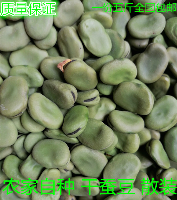 Raw beans new goods Broad bean Rohan beans Farm Croton fresh 5 pounds Germination Broad beanin the Agri rice/Dried foods/Condiment , Meter/Flour/Grains , Beans , Other category - from Buy2taobao.com to provide professional Taobao agent buy service