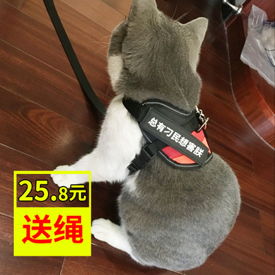 猫用牵引绳猫咪幼猫胸背带遛猫绳防挣脱栓猫绳项圈猫链子溜猫绳子