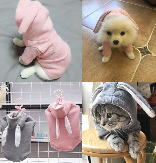 狗狗衣服秋冬泰迪猫衣服比熊博美幼犬小型犬小狗衣服猫咪冬季衣服在类目 宠物/宠物食品及用品, 宠物服饰及配件, 宠物服装/雨衣中 - 来自Buy2taobao.com提供专业的淘宝代购服务