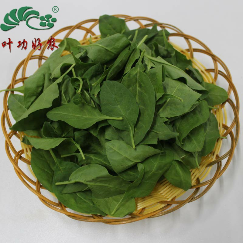 新鮮枸杞葉菜 野菜 蔬菜 枸杞嫩芽 全葉子 500g在類目 水產肉類/新鮮蔬果/熟食, 新鮮蔬菜/蔬菜製品, 新鮮蔬菜, 其它中 - 來自Buy2taobao.com提供專業的淘寶代購服務