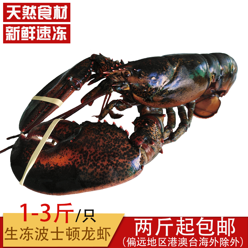 新鲜速冻野生大龙虾进口生冻波士顿龙虾每只1-3斤按斤卖2斤起包邮|ruв категории водной мясо/свежие фрукты и овощи/еда, морепродукты/водные продукты/изделия, креветки, замороженные креветки - от Buy2taobao.com для оказания профессиональной услуги покупки агента Taobao