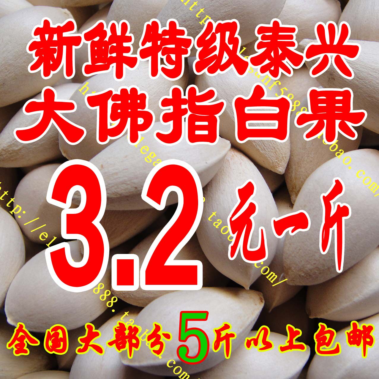 新鲜白果 泰兴特级大佛指生白果 银杏果（保质量●送食谱)5斤包邮