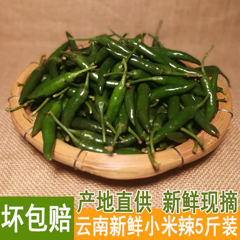 millet Pepper fresh millet Fresh 5 Chili peppers fresh Pepper 5 Chili peppers freshin the Aquatic meat/Fresh fruits and vegetables/Cooked , Fresh vegetables/Vegetable products , Fresh vegetables , Other category - from Buy2taobao.com to provide professional Taobao agent buy service