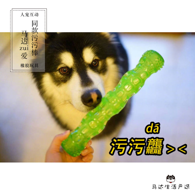 马达zui爱 同款污污棒狗狗发声玩具耐咬磨牙小中大型犬磨牙棒在类目 宠物/宠物食品及用品, 猫/狗玩具, 发声玩具中 - 来自Buy2taobao.com提供专业的淘宝代购服务