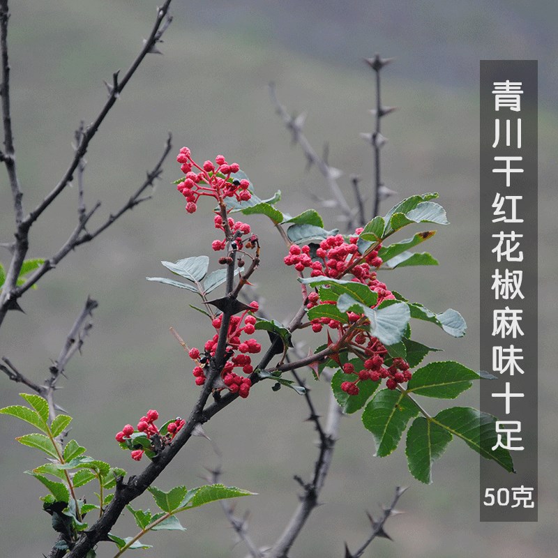 青川土特産 麻辣特級幹花椒大紅袍花椒 川菜麻辣農家自産調料50克在類目 糧油米麪/南北乾貨/調味品, 調味品/果醬/沙拉, 調味料, 花椒/八角/桂皮中 - 來自Buy2taobao.com提供專業的淘寶代購服務