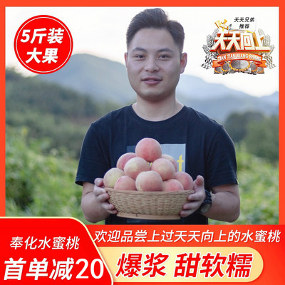 奉化水蜜桃子礼盒装湖景软玉露现摘当季新鲜孕妇水果非阳山毛油桃