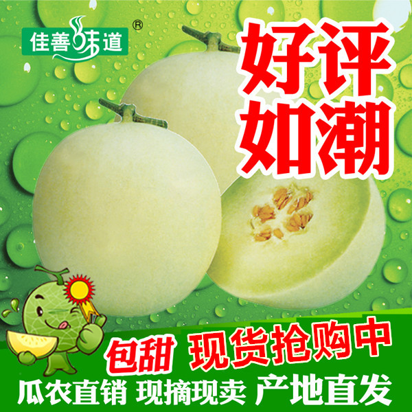 新鮮水果 玉菇甜瓜 孕婦水果哈密瓜 10斤綠肉 蜜天下香瓜嘉善甜瓜在類目 水產肉類/新鮮蔬果/熟食, 新鮮水果, 甜瓜中 - 來自Buy2taobao.com提供專業的淘寶代購服務