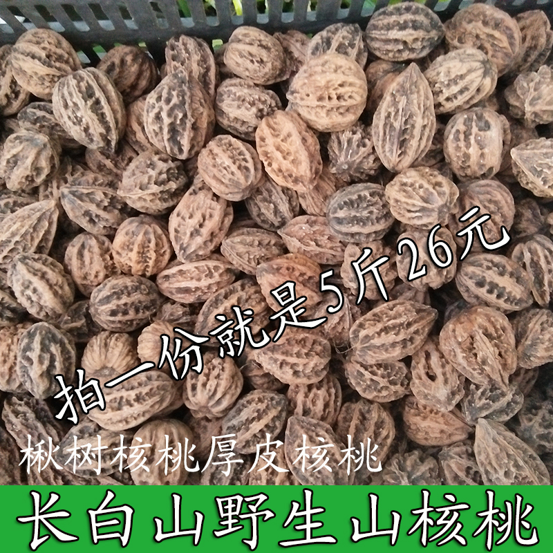 长白山野生山核桃 厚皮核桃 核桃 山核桃 楸树核桃 5斤26元 包邮|msdalam kategori makanan ringan/Nuts/Specialty, Hickory/Nuts/pemanggangan, Walnut - dari Buy2taobao.com untuk memberikan perkhidmatan ejen Taobao profesional membeli