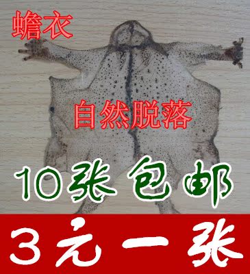 蟾衣天然蟾衣10张包邮老蟾蜍皮干蟾衣蟾蜍衣大癞蛤蟆衣|msdalam kategori makanan berkhasiat tradisional, Ubat-ubatan dan makanan yang boleh dimakan, Lain Perubatan dan Makanan yang boleh dimakan - dari Buy2taobao.com untuk memberikan perkhidmatan ejen Taobao profesional membeli