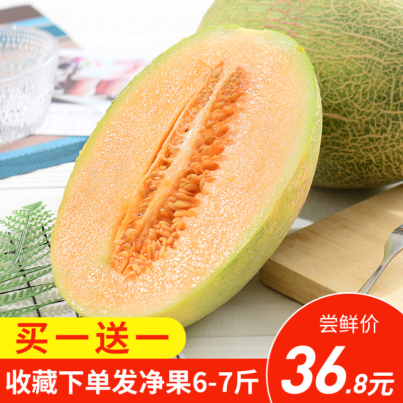 哈密瓜新鲜水果一箱6-7斤 当季现摘脆甜西洲蜜瓜网纹甜瓜整箱包邮在类目 水产肉类/新鲜蔬果/熟食, 新鲜水果, 哈密瓜中 - 来自Buy2taobao.com提供专业的淘宝代购服务