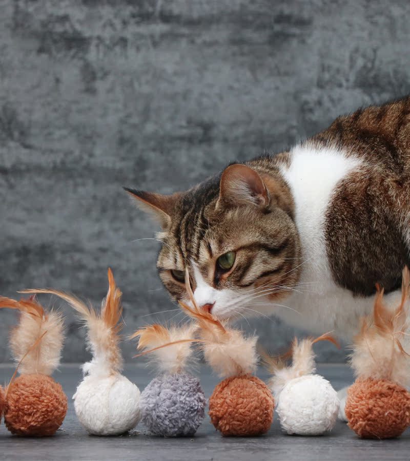 俏猪头猫玩具发声响铃仿真鸡毛毛线逗猫玩具不倒翁球成幼猫互动|ruв категории животное/Животное питание и принадлежностей, кошка/собака игрушка, звучание игрушка - от Buy2taobao.com для оказания профессиональной услуги покупки агента Taobao