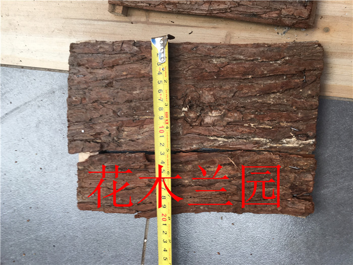 松树皮 兰花上板专用,可送铁丝挂钩|msdalam kategori penghantaran bunga/bunga simulasi/tumbuhan berkebun, pasu/bunga/flowerpot/Bunga (baru), bakul bunga - dari Buy2taobao.com untuk memberikan perkhidmatan ejen Taobao profesional membeli
