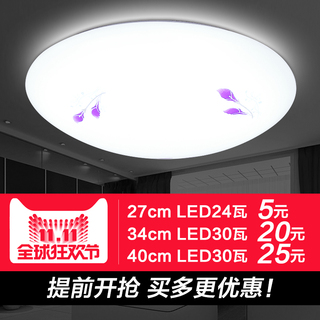 ʿ㵥׿18.8LEDͶƻ18.8led