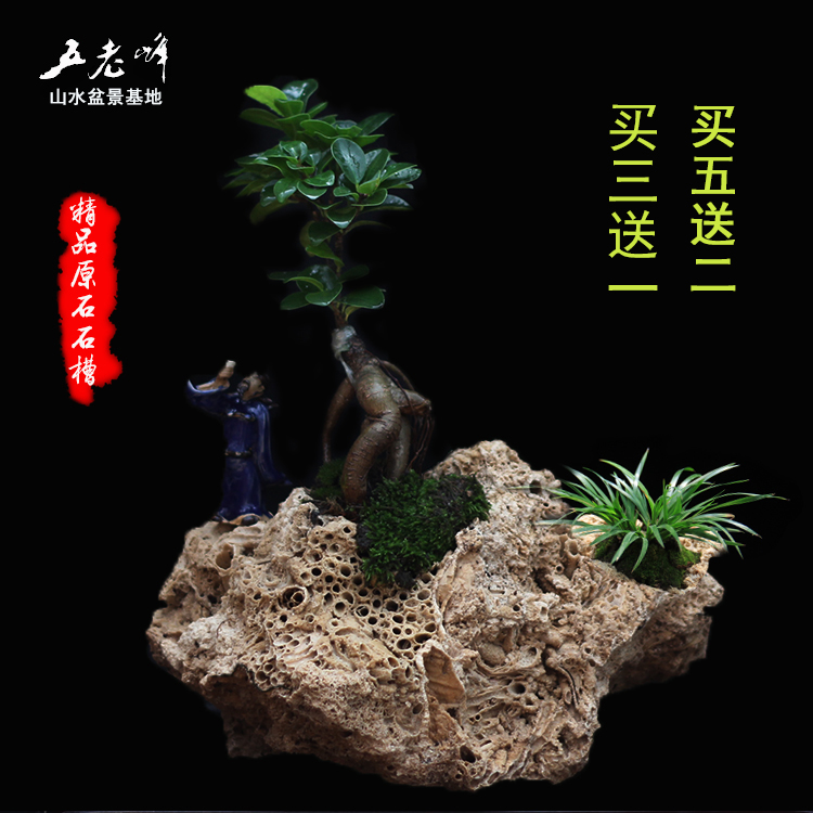 上水石原石附石菖蒲天然吸水石花盆微景觀賞多肉文竹專用石槽花盆在類目 鮮花速遞/花卉仿真/綠植園藝, 園藝用品, 其它園藝用品中 - 來自Buy2taobao.com提供專業的淘寶代購服務