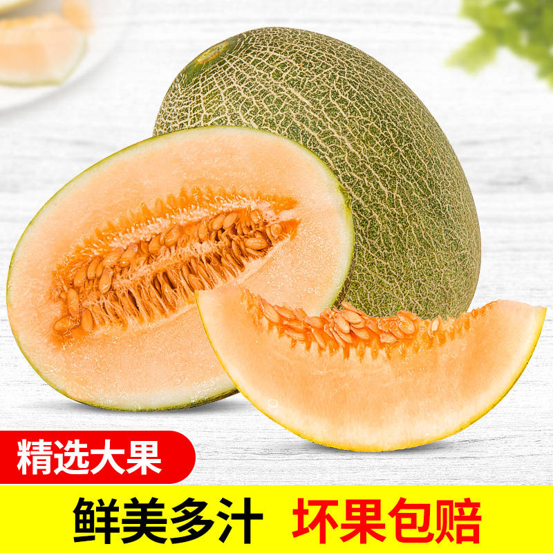 海南哈密瓜4斤 新鲜当季水果现脆甜网纹哈蜜瓜西州蜜应季香瓜包邮在类目 水产肉类/新鲜蔬果/熟食, 新鲜水果, 哈密瓜中 - 来自Buy2taobao.com提供专业的淘宝代购服务